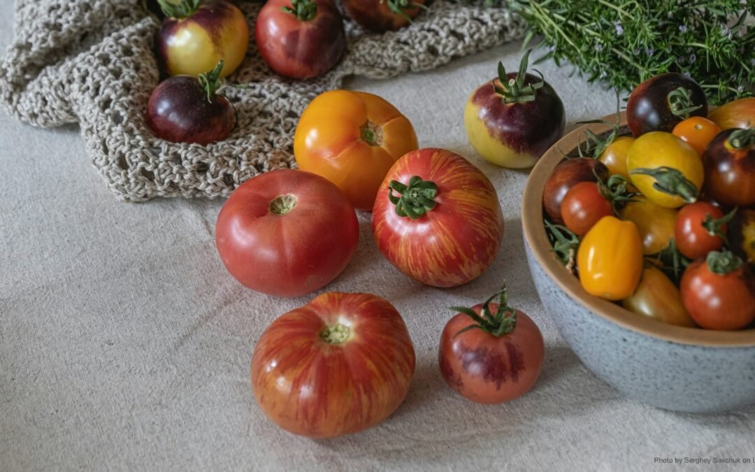 Xiao Shu (Lesser Heat):  Summer Wellness Guide