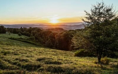 Da Shu (Great Heat): Finding Balance During Summer’s Hottest Days