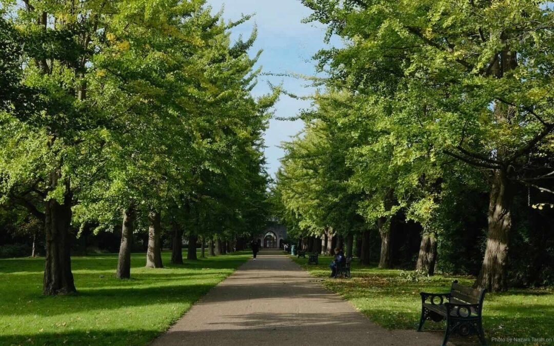 Beginning of Autumn